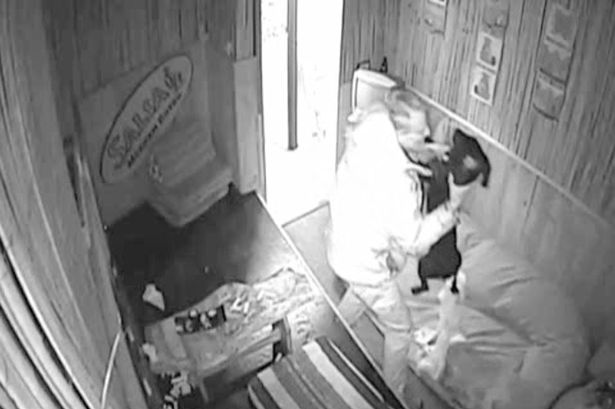 Μεθυσμένος χτυπάει βάναυσα το σκυλάκι του - (Σκληρό video) - Media