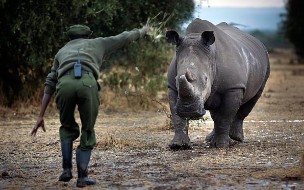 Σουδάν:Τους «ενόχλησαν» τα δημοσιεύματα για σεξουαλικές επιθέσεις σε παιδιά και κατέσχεσαν τις εκδόσεις - Media
