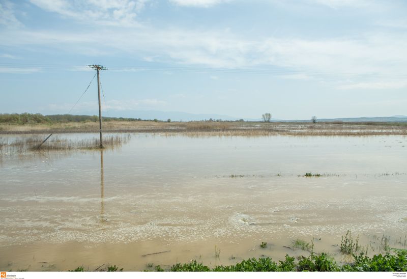 Στο έλεος του Στρυμόνα ο σερραϊκός κάμπος - Σε λίμνη έχουν μετατραπεί χιλιάδες στρέμματα καλλιεργειών - Media