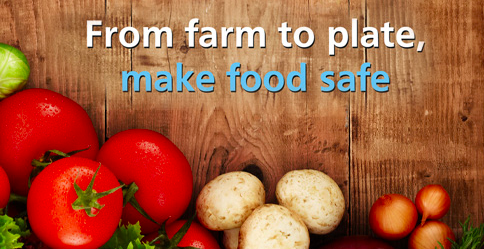 Παγκόσμια Ημέρα Υγείας: «Βελτίωσε την ασφάλεια των τροφίμων, από το αγρόκτημα έως το πιάτο σου» - Media