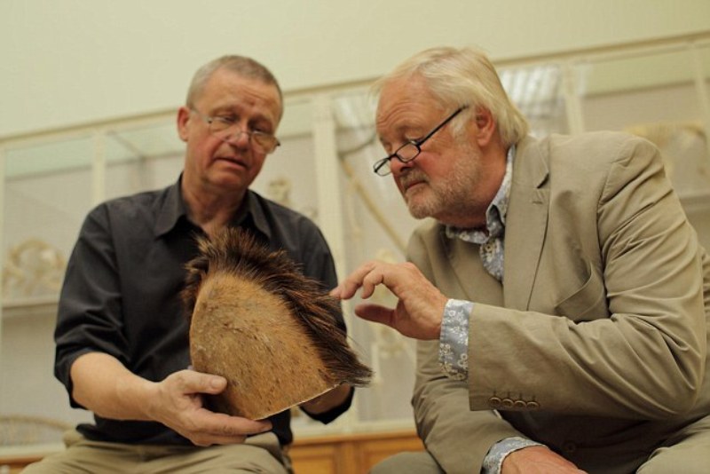 Υπάρχουν οι Μεγαλοπόδαροι; Τα γνωστά Γέτι; Που ζουν; Τι έδειξαν τα αποτελέσματα DNA; - Media