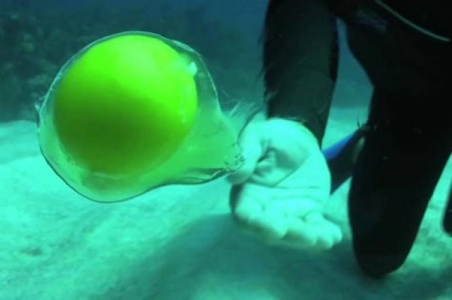 Τι συμβαίνει αν σπάσετε ένα αυγό μέσα στη θάλασσα; (Video) - Media