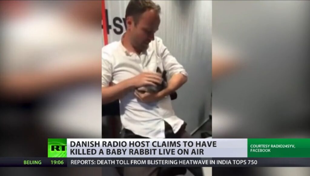 Ραδιοφωνικός παραγωγός σκότωσε κουνέλι στον αέρα και μετά το έφαγε – Σάλος στα social media (photo/video) - Media
