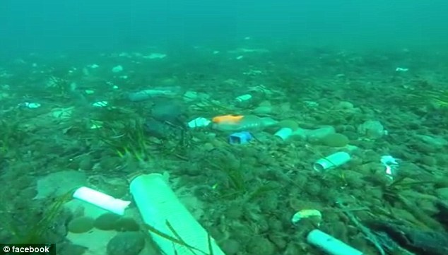Τι κρύβουν τα γαλάζια νερά της Γαλλικής Ριβιέρας; (Video) - Media
