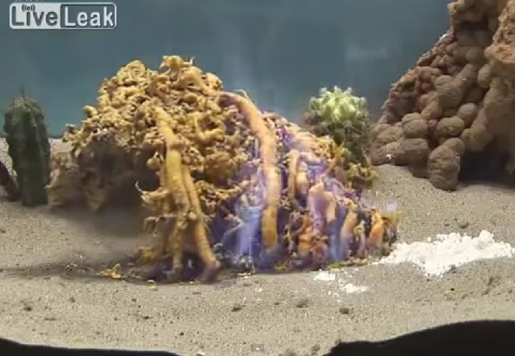 H μαγεία της Χημείας: Αλλόκοτη αντίδραση μοιάζει με πύλη της Κολάσεως (video) - Media