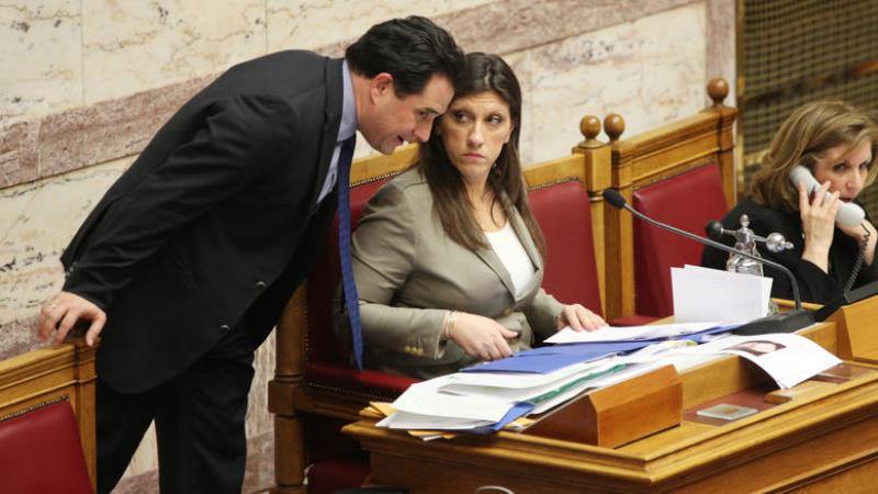 Η... αφιέρωση Άδωνι στη Ζωή - Τα είπε όλα με ένα σκίτσο - Media
