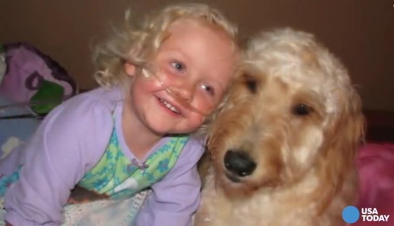Η συγκινητική ιστορία της άρρωστης 3χρονης Αλίντα και το δέσιμο της με ένα σκυλί - Media