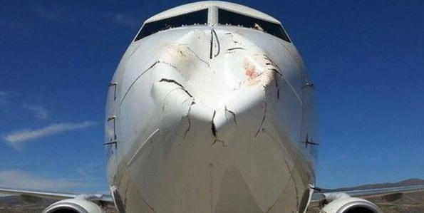 Απίστευτες ζημιές σε αεροπλάνο της Turkish Airlines από σύγκρουση με… πουλιά! (Photos) - Media