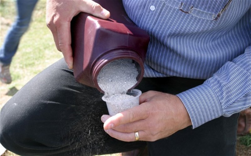 Πέταξε τη στάχτη της γυναίκας του σε τουαλέτα-Τώρα κατηγορείται για «εγκατάλειψη πτώματος»! - Media