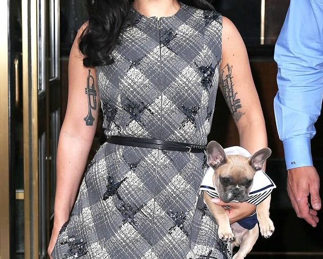 Η Lady Gaga ντύνει το σκυλάκι της … ναυτάκι (Photos) - Media