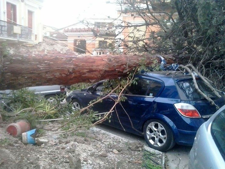 Ο Δήμος Αμαρουσίου θα αποζημιώσει πολίτη για ζημιά σε αυτοκίνητο από πτώση δέντρου - Media