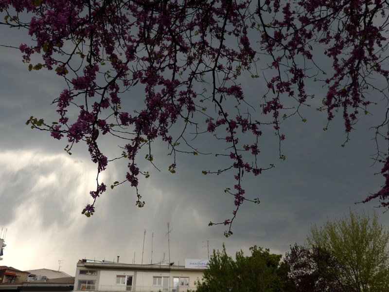 Βροχές, ήλιος και μικρή πτώση της θερμοκρασίας - Media