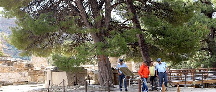 Κρίσιμη η κατάσταση της υγείας της Ρωσίδας τουρίστριας - Media