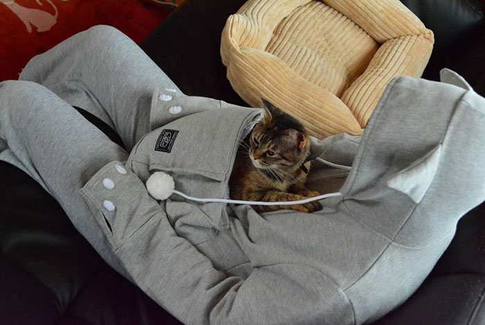 Το ιδανικό ρούχο για όσους έχουν γάτες! (Photos + Video) - Media