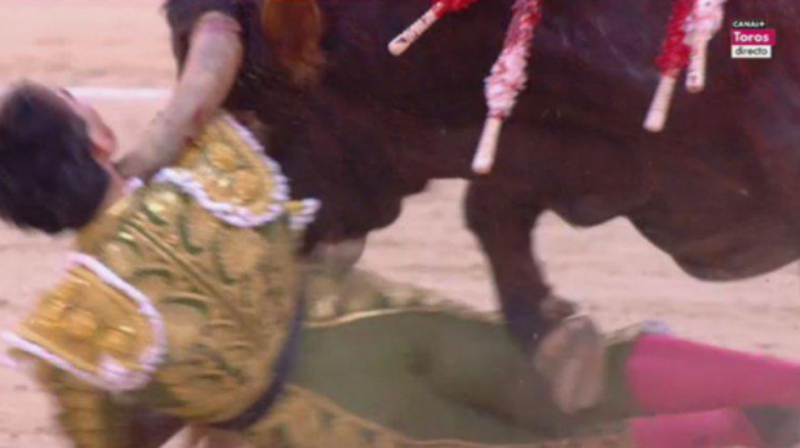 Η σοκαριστική στιγμή που ο ταυρομάχος σωριάζεται αιμόφυρτος (Video) - Media