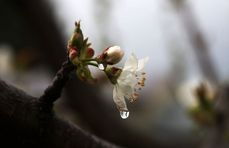 Συννεφιασμένος και βροχερός ο καιρός - Media