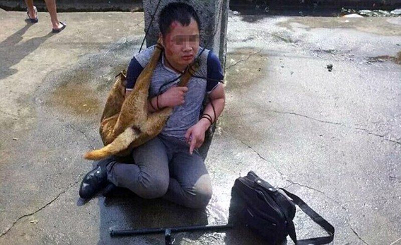 Απίστευτα βασανιστήρια στην Κίνα για δολοφόνους σκυλιών (Σκληρές Photos) - Media