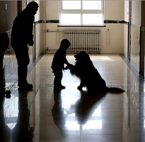 Ο συγκλονιστικός σκύλος, όταν ένα αυτιστικό παιδί παθαίνει κρίση και χτυπάει τον εαυτό του - Media