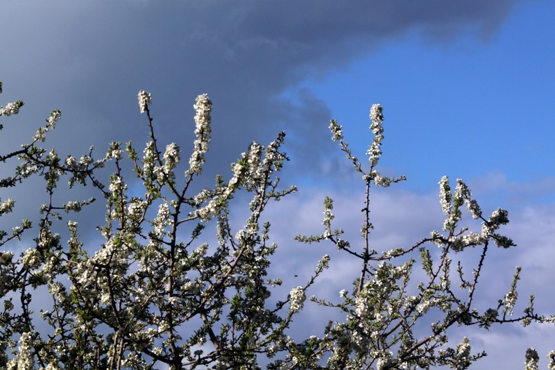 Άστατος ο καιρός - Media