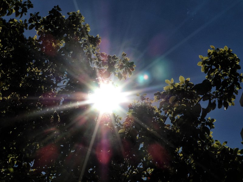 Ξαναφτιάχνει ο καιρός - Media