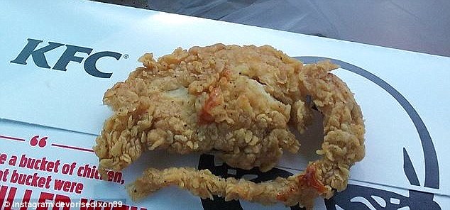 Τελικά το KFC σερβίρει αρουραίους; (Photos+Video) - Media