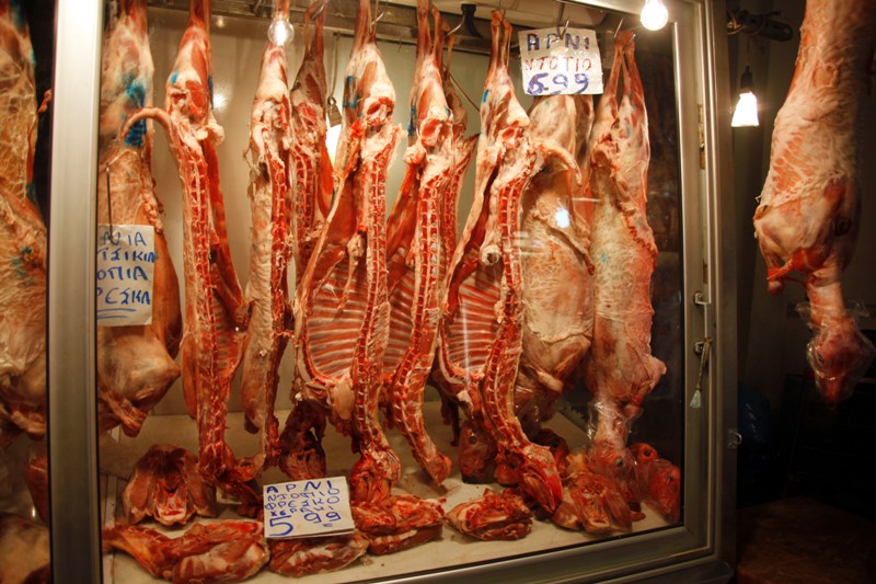 Χειροπέδες σε... αστυκτηνίατρο - μαϊμού! - Media