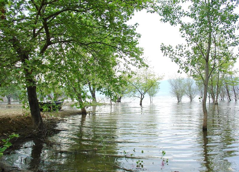 ΣτΕ: Εθνικά Πάρκα με έκδοση Προεδρικού Διατάγματος - Media