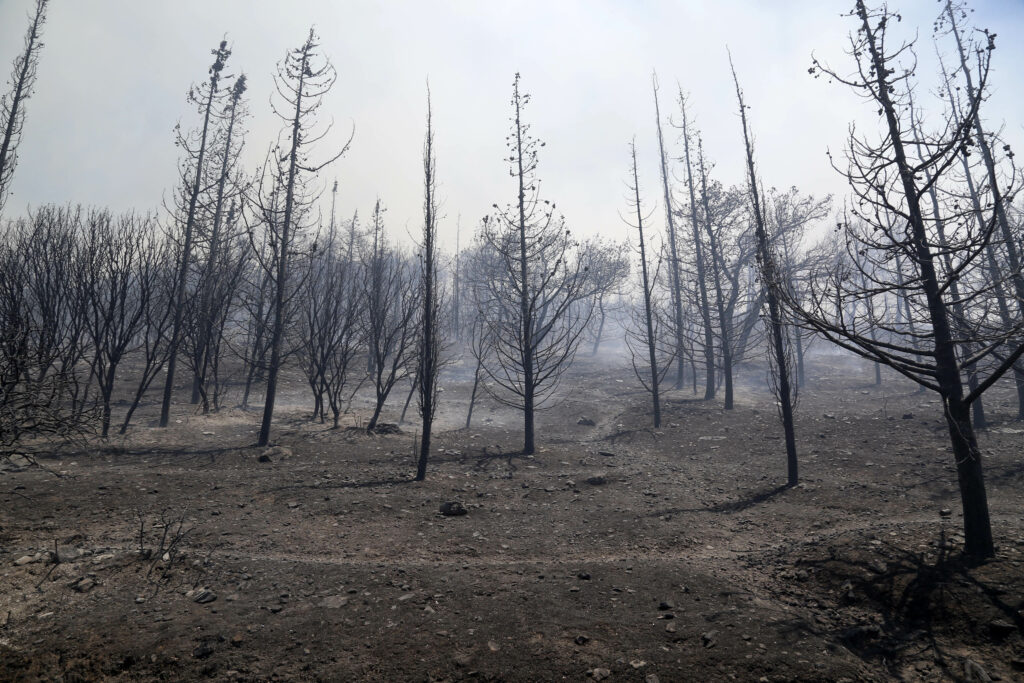 Παρανάλωμα του πυρός ο Υμηττός – (Photos & Videos) - Media