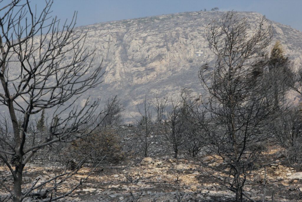 Νεκρός από την πυρκαγιά εντοπίστηκε στον Καρέα - Media