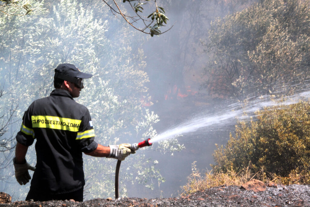 Υπό μερικό έλεγχο οι φωτιές στην Πελοπόννησο - Media
