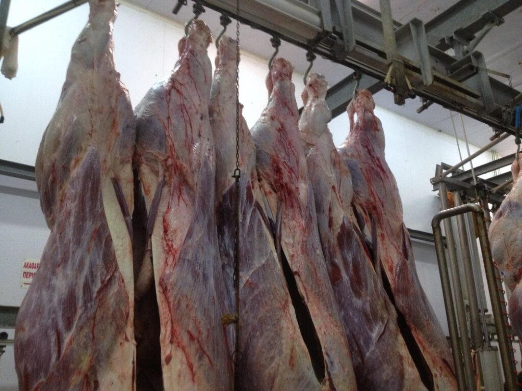 Κατάσχεση 10 τόνων κρέατος από την Πολωνία - Media