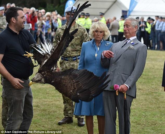 Ο πρίγκιπας Κάρολος και ο… αετός: μια ξεκαρδιστική συνάντηση! (Photos & Video) - Media