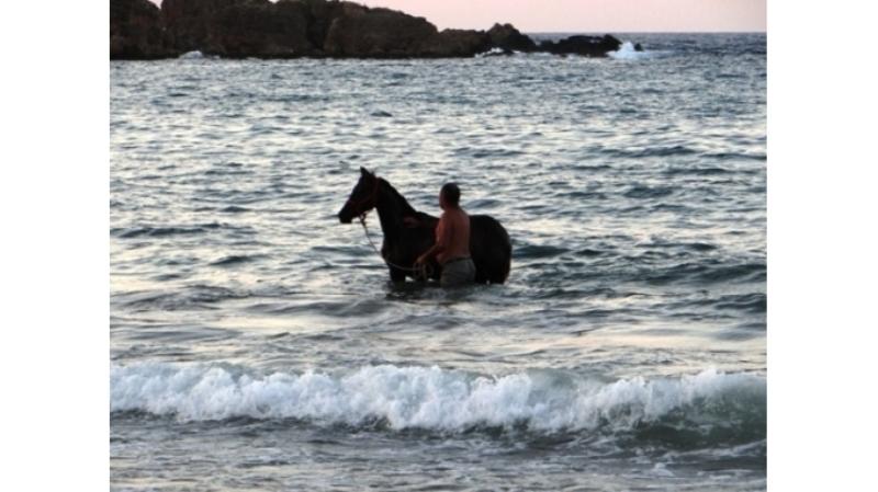 Έκανε μπάνιο στη θάλασσα μαζί με το ... άλογό του (Photos) - Media