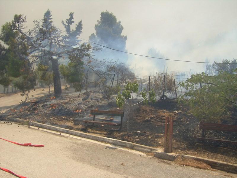Σε ύφεση η πυρκαγιά στη Στροφυλιά (Photos) - Media