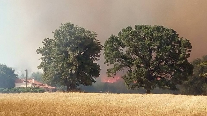 Μαίνεται η φωτιά στη Μαλακάσα - Εκκενώθηκαν κατασκηνώσεις - Media