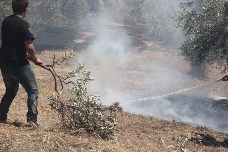 Σε ύφεση η φωτιά στην Πάρνηθα - Media