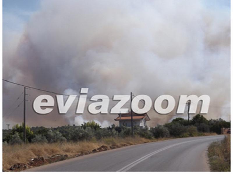 Εύβοια: Mεγάλη πυρκαγιά στον Πισσώνα (Photos) - Media