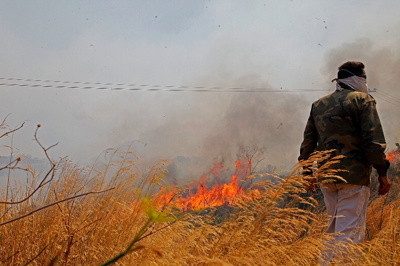 Σε ύφεση τα πύρινα μέτωπα στην Πελοπόννησο – Μετρούν τις «πληγές» τους οι κάτοικοι - Media