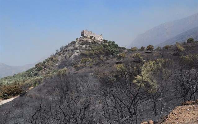 Νεάπολη Λακωνίας: «Σώα» τα μνημεία της περιοχής από τις φωτιές - Media