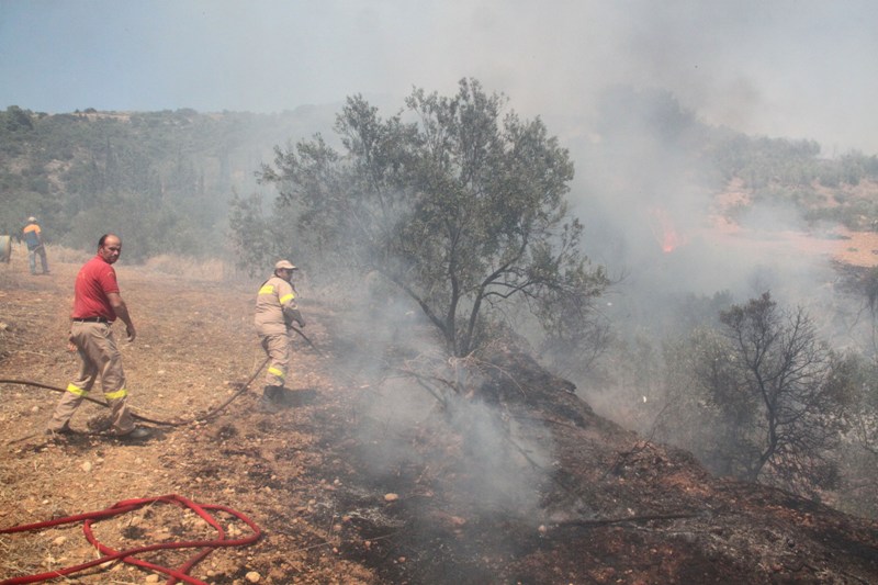 Φωτιά στους πρόποδες της Πάρνηθας - Ελέγξιμη η κατάσταση λέει ο Δήμαρχος Αχαρνών - Media