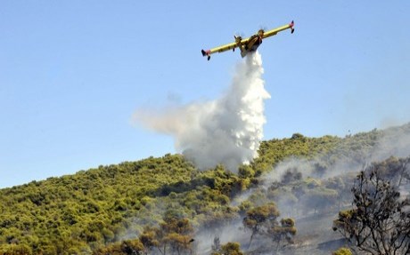 Σπάρτη: Υπό μερικό έλεγχο η πυρκαγιά στην περιοχή Άγιος Κυπριανός - Media