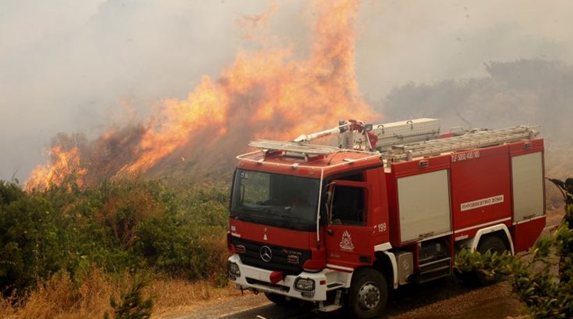 1200 στρέμματα έγιναν «στάχτη» από την πυρκαγιά στη Σαμοθράκη - Media