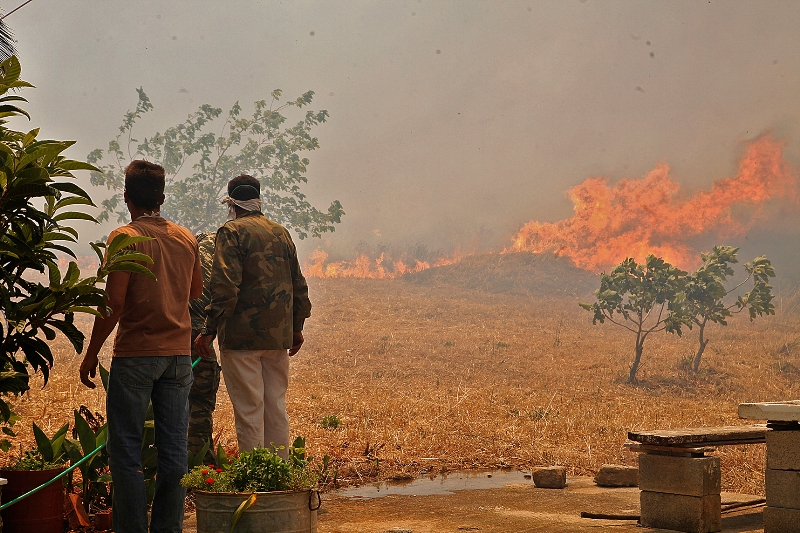 74 φωτιές σε ένα 24ωρο – Ποιες μαίνονται, ποιες είναι σε ύφεση – Πού υπάρχει αυξημένος κίνδυνος πυρκαγιάς  - Media