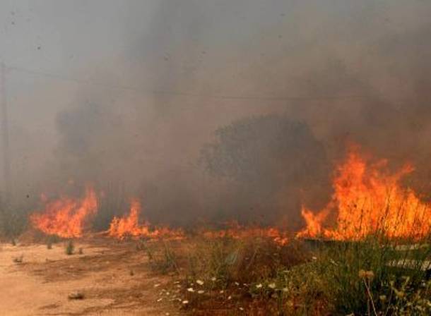 Πυρκαγιά στο ύψος των διοδίων των Αφιδνών - Media