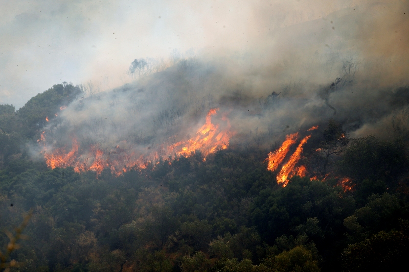 Υπό έλεγχο η φωτιά στη Βοϊδοκοιλιά Μεσσηνίας - Media