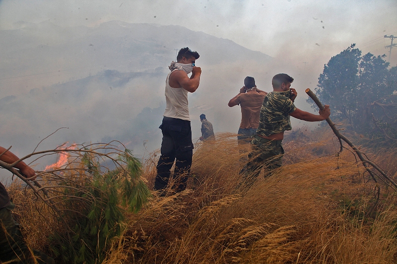 Σε ύφεση τα πύρινα μέτωπα - 79 δασικές πυρκαγιές σε 24 ώρες! - Media