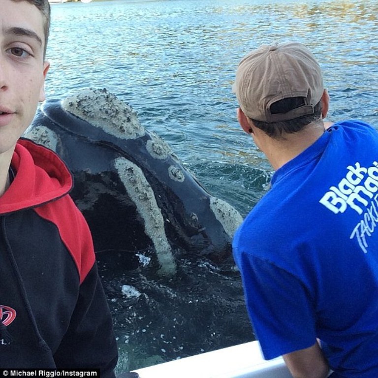 Φάλαινα πλησίασε ψαράδες ζητώντας βοήθεια (Photos + Video) - Media