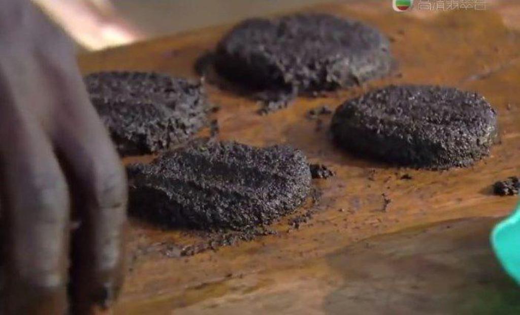 Τα πιο θρεπτικά μπιφτέκια φτιαγμένα από… μύγες (Photos + Video) - Media