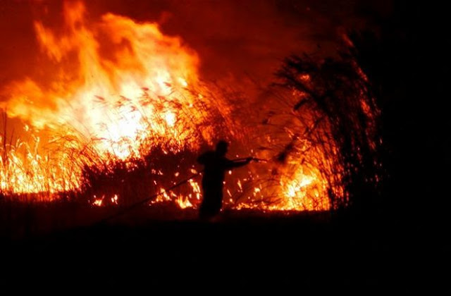 Υπό έλεγχο πυρκαγιά στη Βαρυμπόμπη – Προβληματισμός στην Πυροσβεστική - Media
