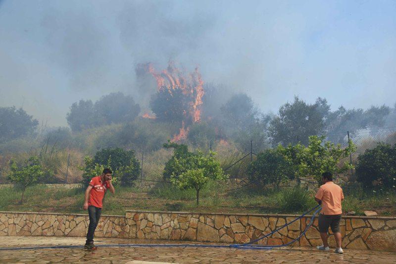 Μεγάλη φωτιά στον Δοκό Χαλκίδας - Media